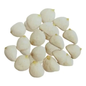 Nuez de la India adelgazante natural